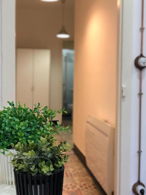Rua Alta 22 Der Apartment Vigo Ngoại thất bức ảnh